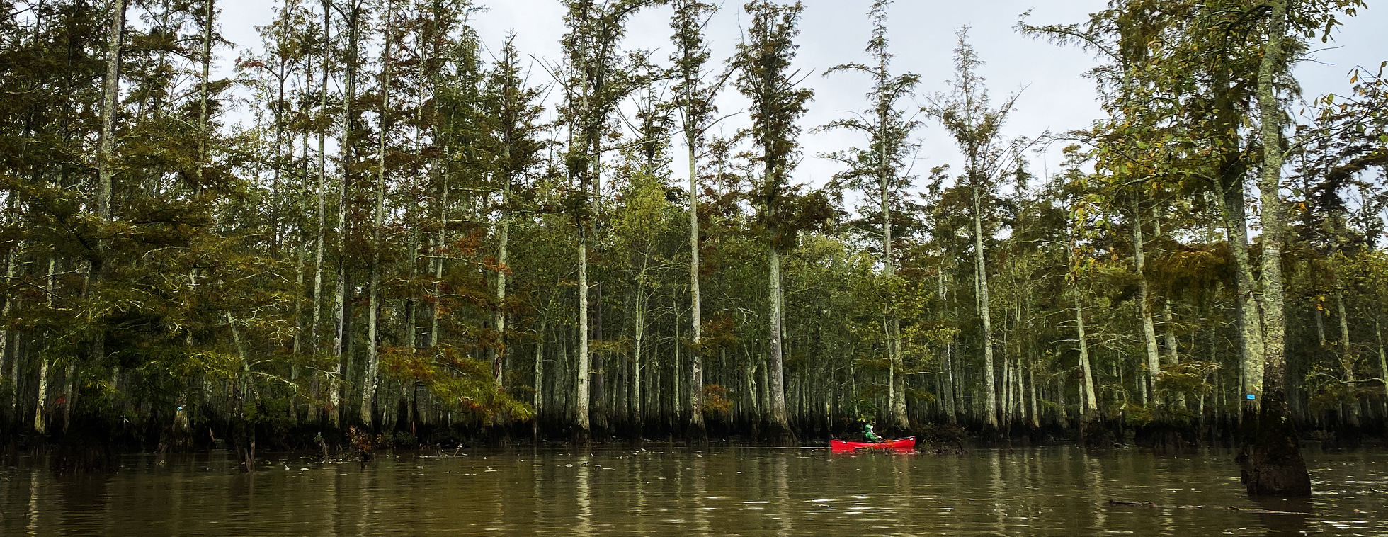 First Saturday Members Paddle — January 2025